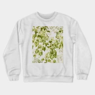 Hedera helix Crewneck Sweatshirt